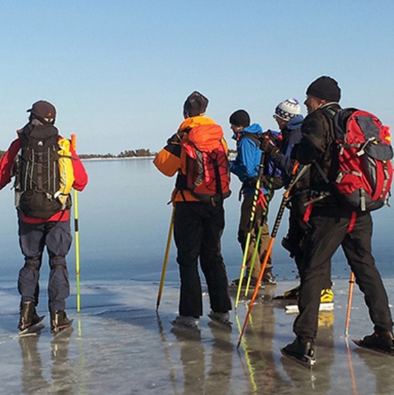 grupp längdskridskoåkare på is