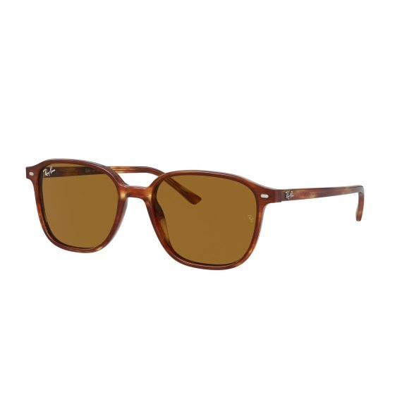 Ray-Ban Leonard RB2193 954/33 53