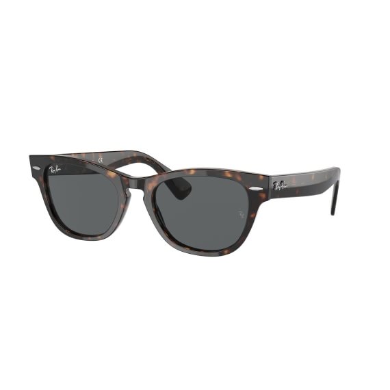 Ray-Ban Laramie RB2201 902/B1 5420