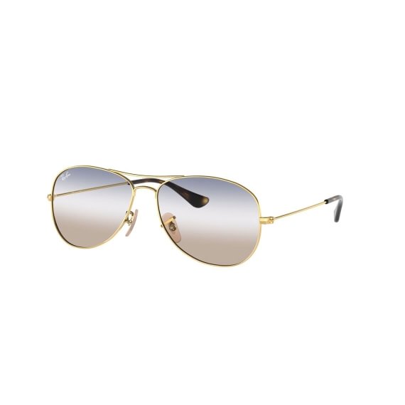 Ray-Ban Cockpit RB3362 001/GD 5614