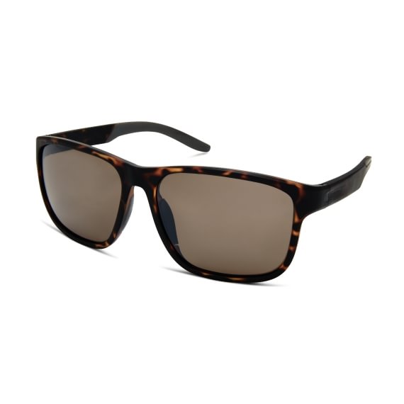 RIGEL Brown Polarized Aquarii C12 5916