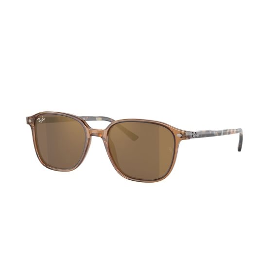 Ray-Ban Leonard RB2193 663693 5118