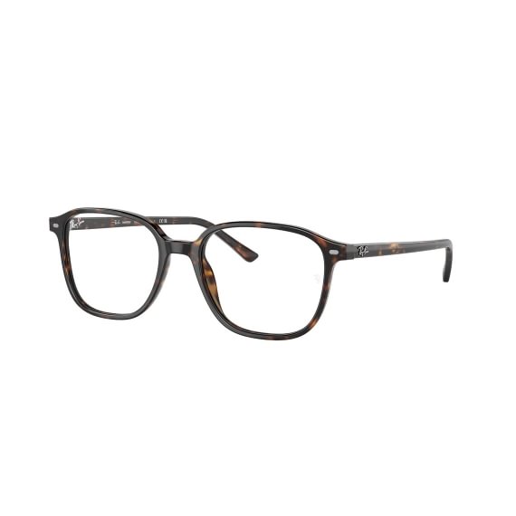 Ray-Ban Leonard RB2193 902/GH 5118