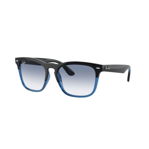 Ray-Ban Steve RB4487 663219 5418