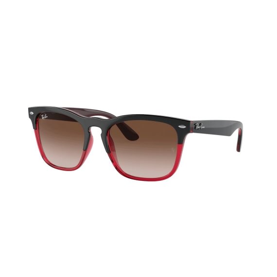 Ray-Ban Steve RB4487 663113 5418