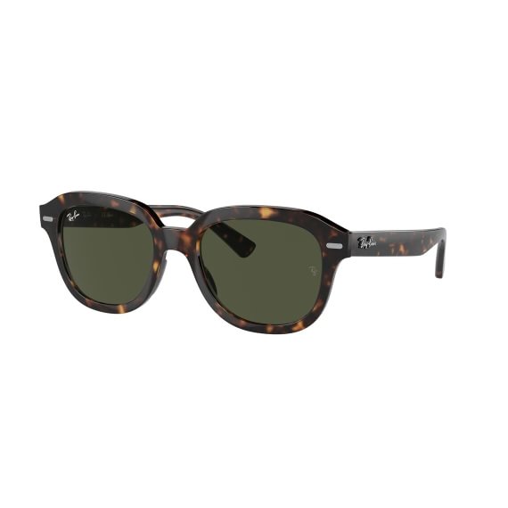 Ray-Ban Erik RB4398 902/31 5320