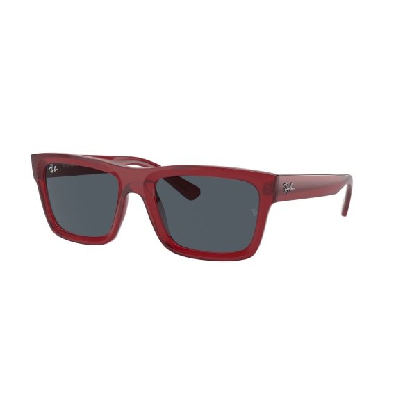 Ray-Ban Warren RB4396 667987 5420