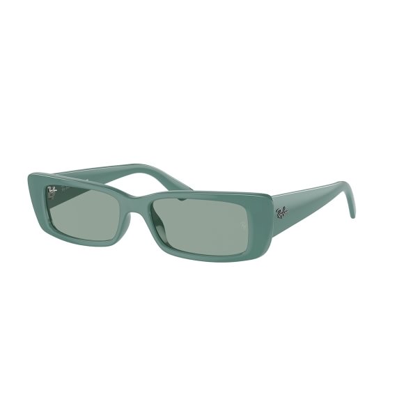 Ray-Ban Teru RB4425 676282 5417