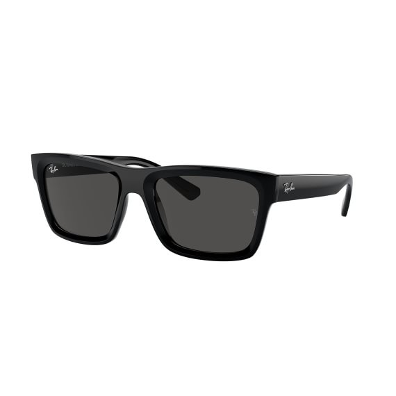 Ray-Ban Warren RB4396 667787 5420