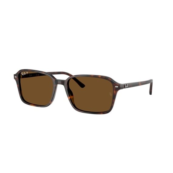 Ray-Ban Raimond RB2231 902/57 5618