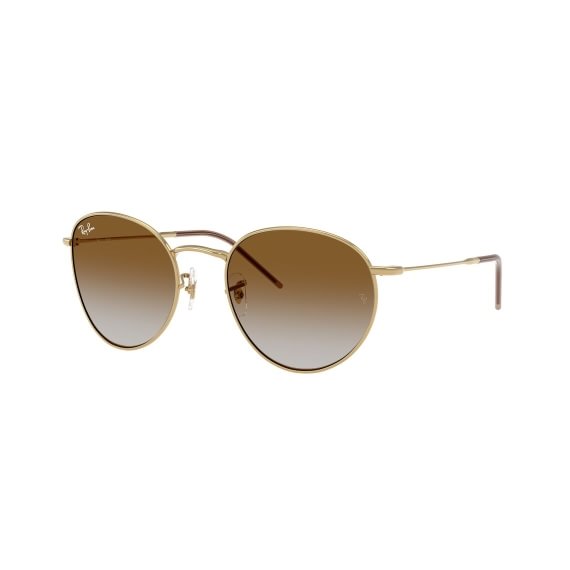 Ray-Ban Round Reverse RBR0103S 001/CB 5521