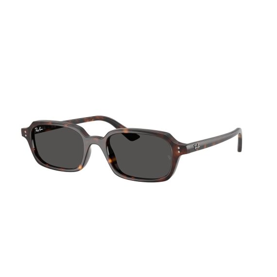 Ray-Ban Zuri RB4455 135987 5219