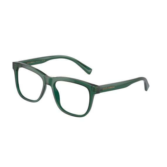 Dolce & Gabbana DX3356 3008 4915