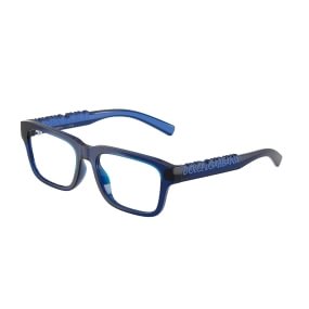Dolce & Gabbana DX5008 3009 4916