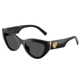Dolce & Gabbana DG4536 501/87 5520