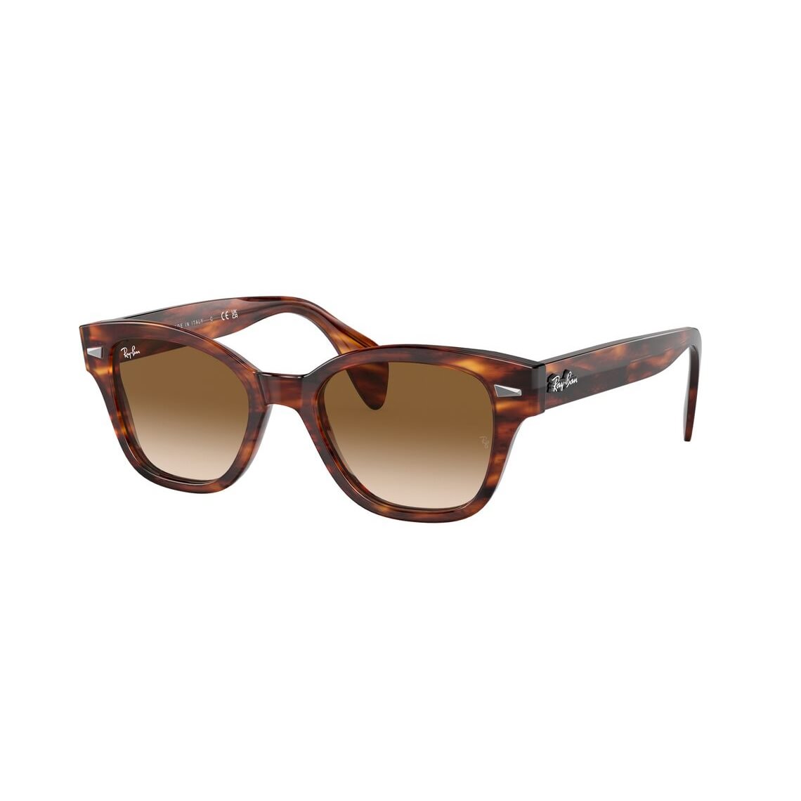 Ray-Ban RB0880S 954/51 4919