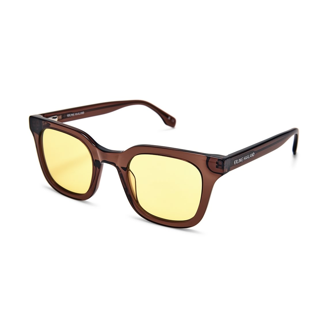 Erling Haaland HAL S43 C27 4624